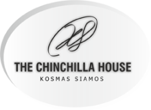 the chinchilla house